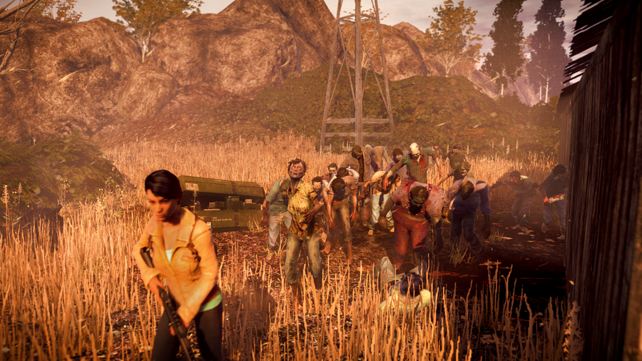 state of decay year one survival edition steam key